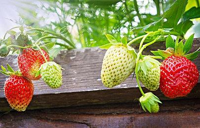 《第九区》导演正开发一个3A多人射击游戏